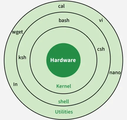 Linux Shell
